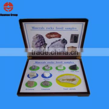 Minerals rocks fossil specimen