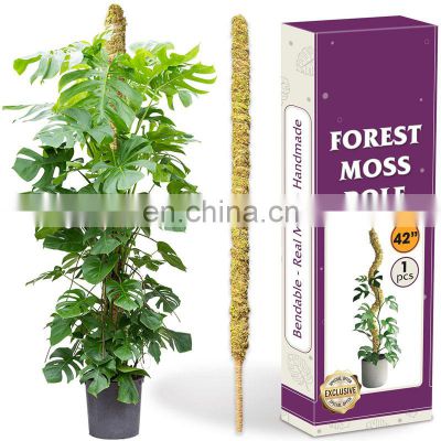Latest Arrival Manufacturers Grow Wall Bamboo Indoor Extendable Moss Pole Plants