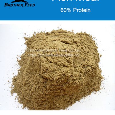 Bulk Dried Fish Meal Powder Wholesale Fish Meal Protein Fish Meal for Animal Feed