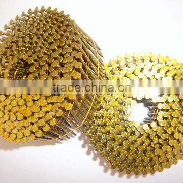 Common Wire Coil Nail