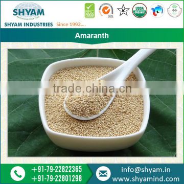 Most Selling Best Quality Amaranth Exporter