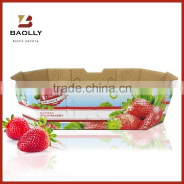 Hot Sale fruits and vegetables box for packing strawberry                        
                                                Quality Choice