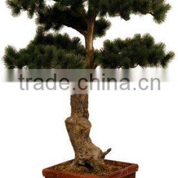 artificial cypress pine tree