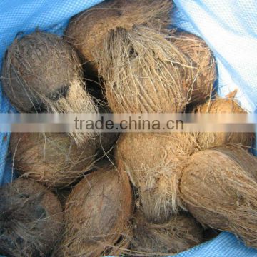 Fresh Brown Coconuts Price