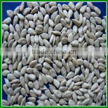 Hot Sell Bulk High quality Raw Sunflower Kernels With Delicious Taste In 2015