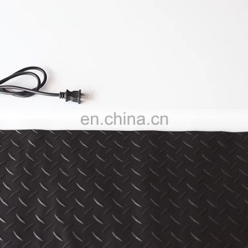 High Quality Twin Conductor Heating mat  For Outdoor Snow or Roof Melting