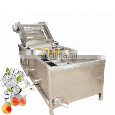 Stainless Steel Industrial Fruit Vegetable Cleaner Washer Bubble Washing Machine