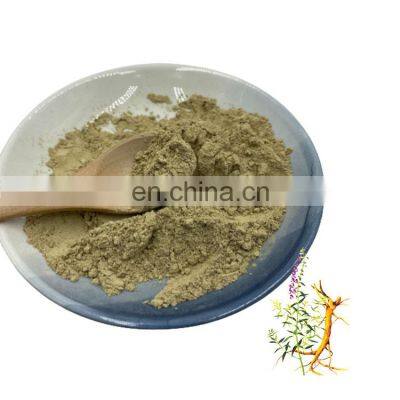 Factory Supply Scutellaria Baicalensis Extract Baical Skullcap Root Powder Natural 85% Baicalin