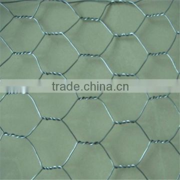 High Quality Galvanized Hexagonal Wire/Chicken Wire