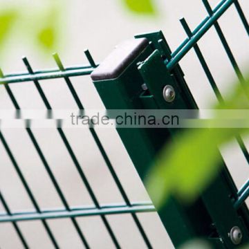 Ral 6005 Moss green coated 656 868 Twin Wire Mesh Fence