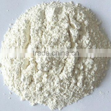 2013 new crop,white color, low tpc dried garlic powder