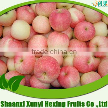 fresh Chinese small size paper bagged Gala apple