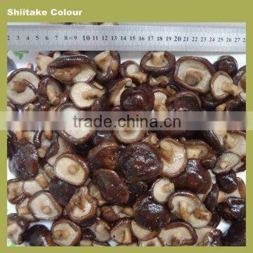 Cultivation mushroom farm