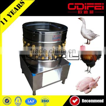 Poultry Processing Profession Chicken Slaughtering Line