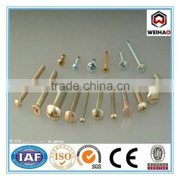 hot selling high qualiy flat head screw