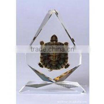 High quality crystal insect specimen (CP-10044)