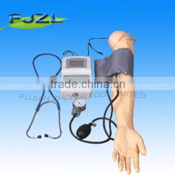 Blood Pressure Training Nursing System Simulator