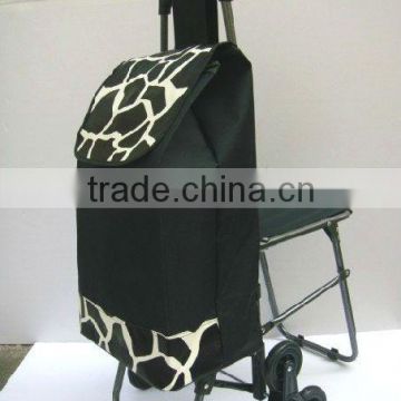 Outdoor folding shopping trolley bag with wheel.