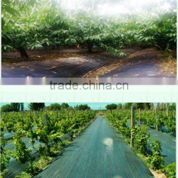 home recycled polypropylene Ground Cover for greenhouse