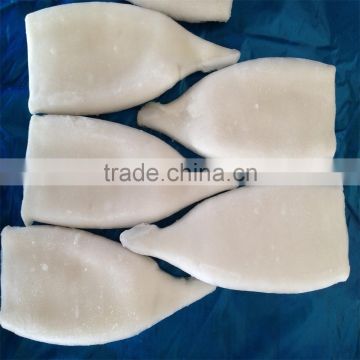 hot sales high quality frozen squid tube