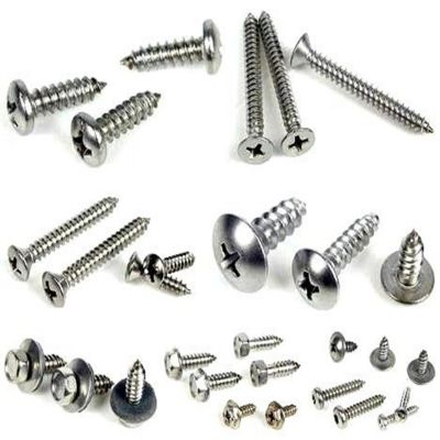 Self-Tapping Screws with Pan/Truss/Hex/Csk Head