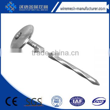 Galvanized twisted shank roofing nail factory