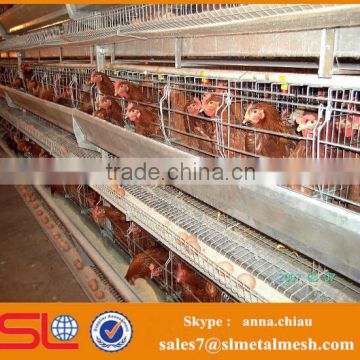 Automatic poultry farm drinking system poultry farm layer cage