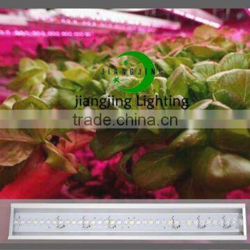 Newest lenses high par value 2ft 50W tomato growing LED Lights