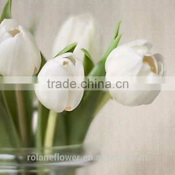elegant cut fresh flower white tulip flower from yunnan
