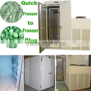 quick freezer for 400kg okra instant freezing