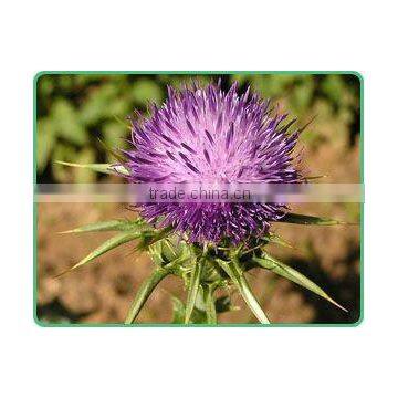 100% purity Milk Thistle Extract