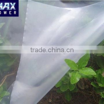 polyethylene film for greenhouse
