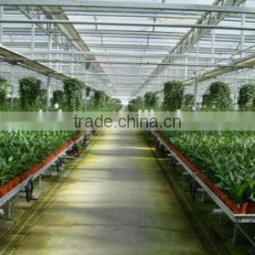 Glass sunlight greenhouse for vegetables