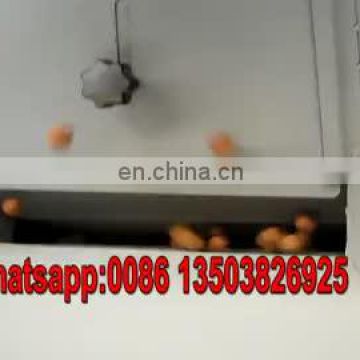 Taizy commercial nut shell cracking machine /almond/hazelnut shelling machine