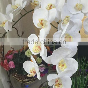 Artificial mini real touch orchid flowers