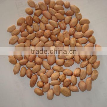 raw peanuts kernel