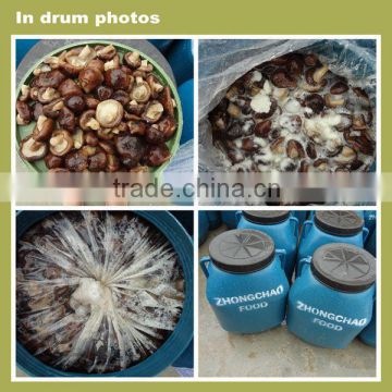 shiitake mushrooms for sale