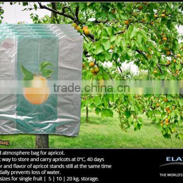 Apricot bag