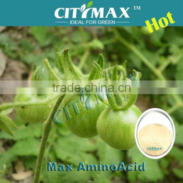 Amino Acid Fertilizer With High Purity