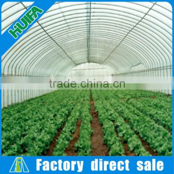 Simple frame Single-Span Greenhouses agriculture agriculture related products