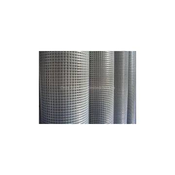 Galvanized Welded Wire Mesh