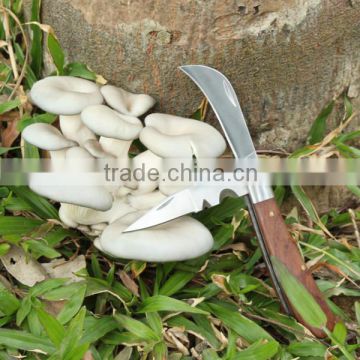 Wooden Handle Two Blades Outdoor Electricians Pocket Mushroom Knife