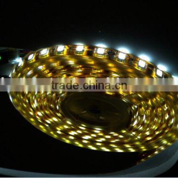 IP68 total waterproof LED ribbon light