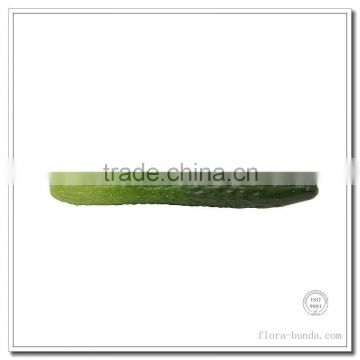Flora bunda cucumber artificial vegetable