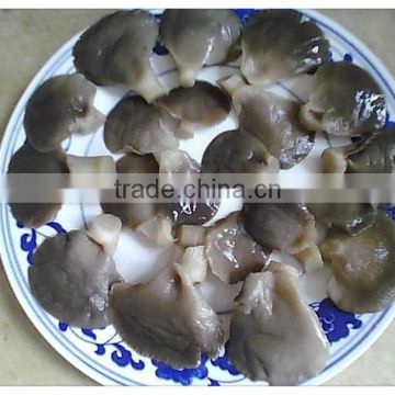 brined pleurotus ostreatus oysters from new crop