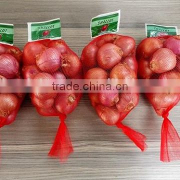 2016 new crop shallot from China pack in 1lb/bag
