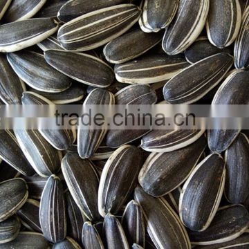 buy & sell new crop bulk chinese sunflower seeds in shell