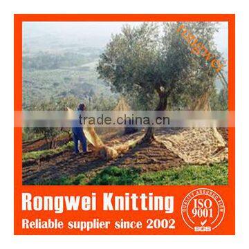 New Olive Picking Net in High Quality