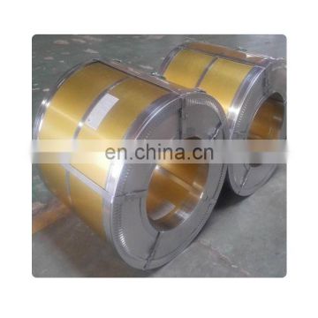Prepainted Steel Coil / Colour Coated Steel Coil / PPGI/PPGL for Roof