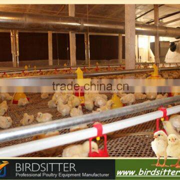 hot sale automatic broiler rate chicken farming accessory with feeding chickens equipment